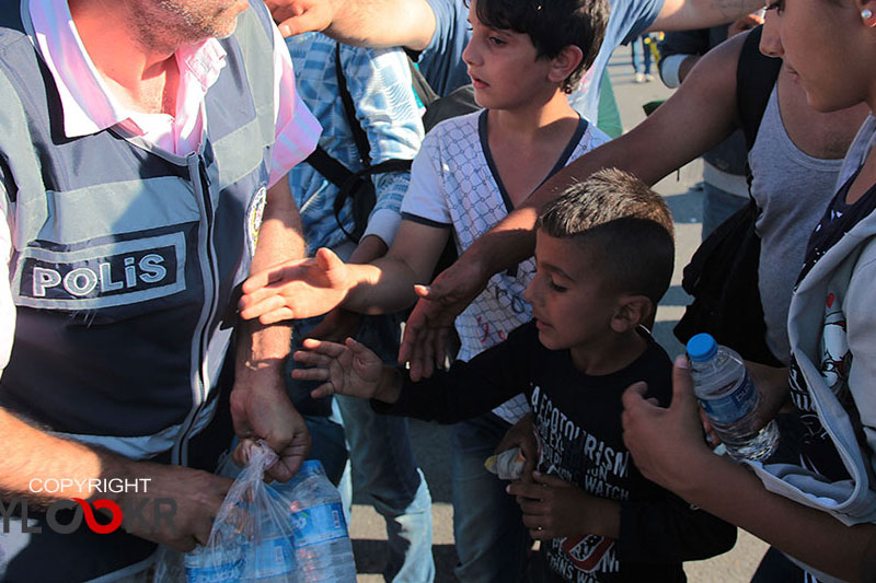 Fotoğraf: Yalçın Çakır - Edirne - Göçmenler - 19 Eylül 2015 5