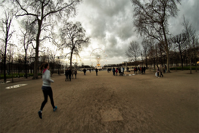 France; Paris; Jardin des Tuileries; Şubat 2016