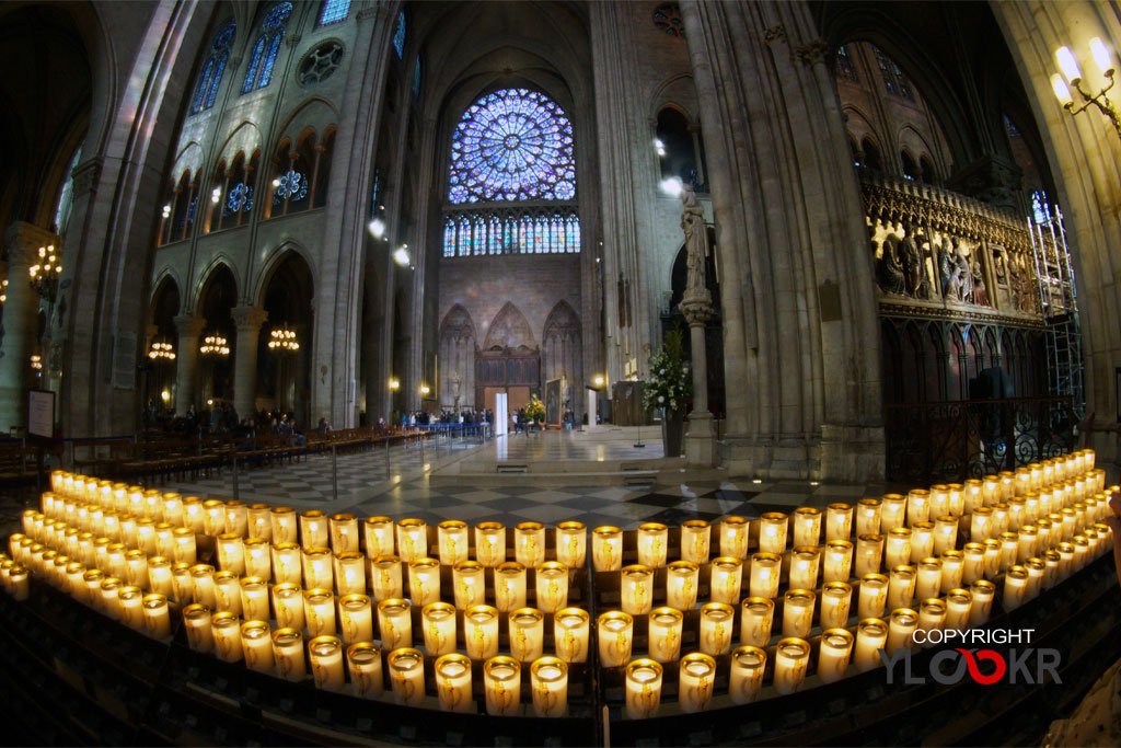 France; Paris; Cathédrale Notre Dame de Paris; 1