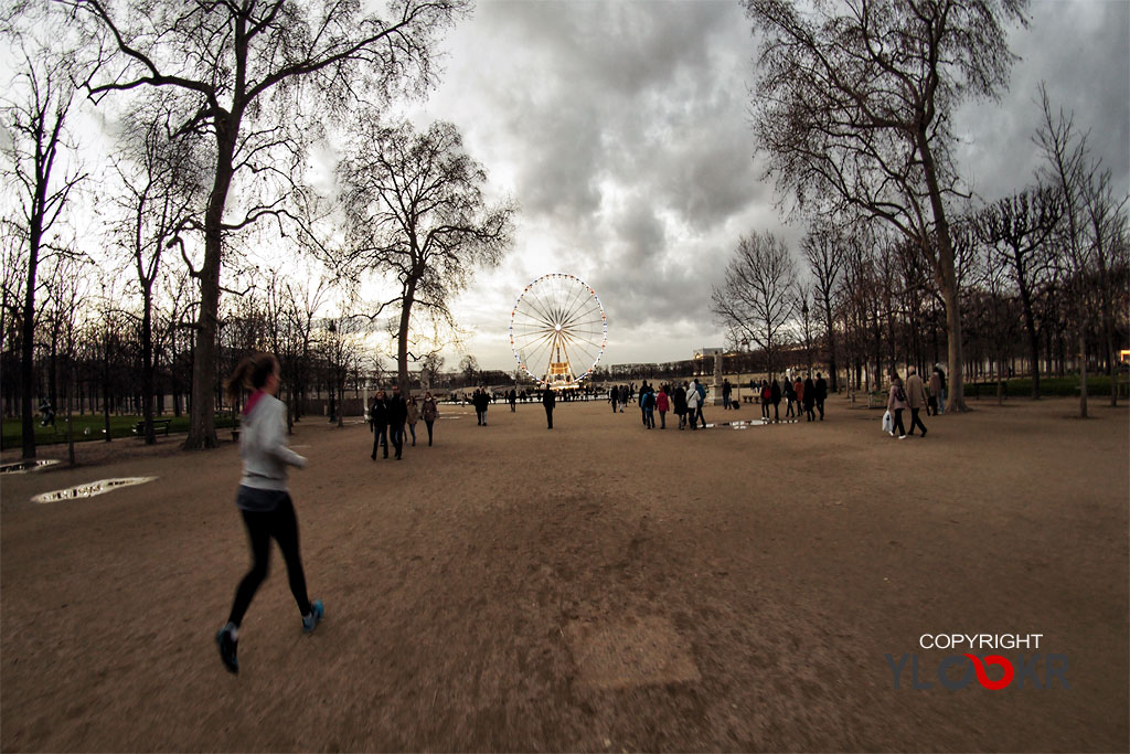 France; Paris; Jardin des Tuileries 2