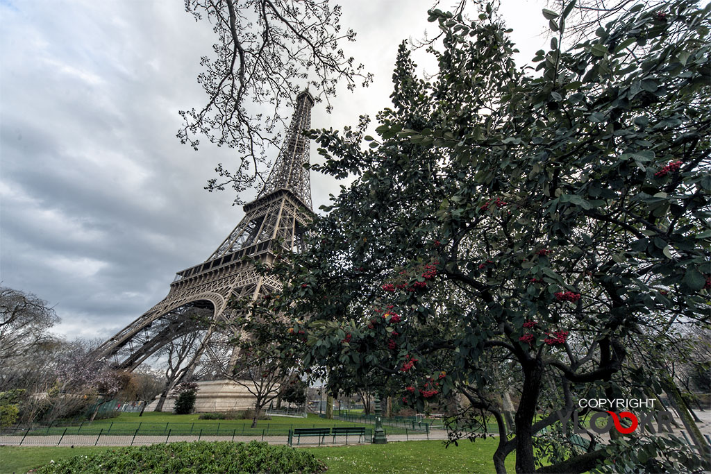 France; Paris; Eyfel Kulesi; Eiffeil Tower 4