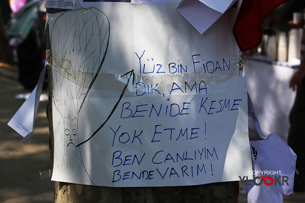 Gezi Parkı 14. gün 20