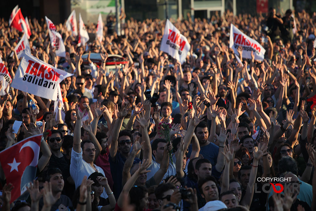 Gezi Parkı; Taksim Dayanışması; Karanfil Eylemi 8