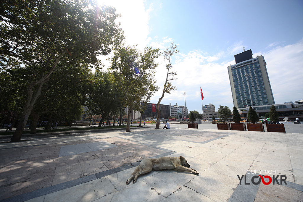 Yeni Gezi Parkı 1