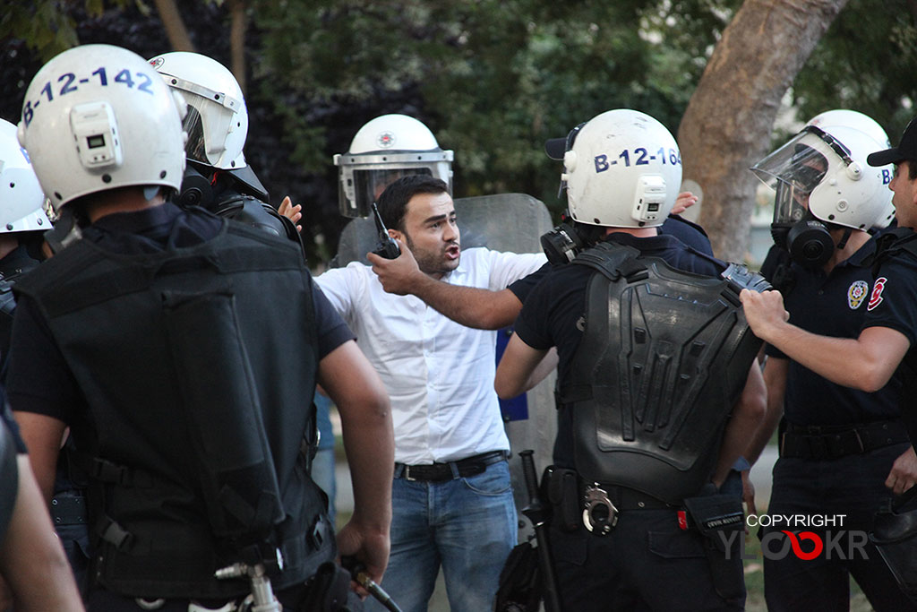 Çapulcu Düğünü; Gezi Parkı, polis müdahalesi