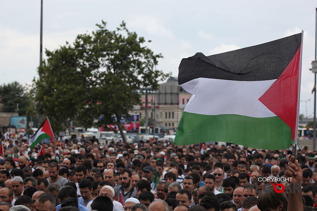 Filistin ve Suriye Halkıyla Dayanışma Platformu 11
