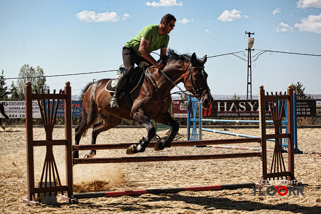 International K9&Horse Club; At Eğitimi; Binicilik; Atlı spor 6